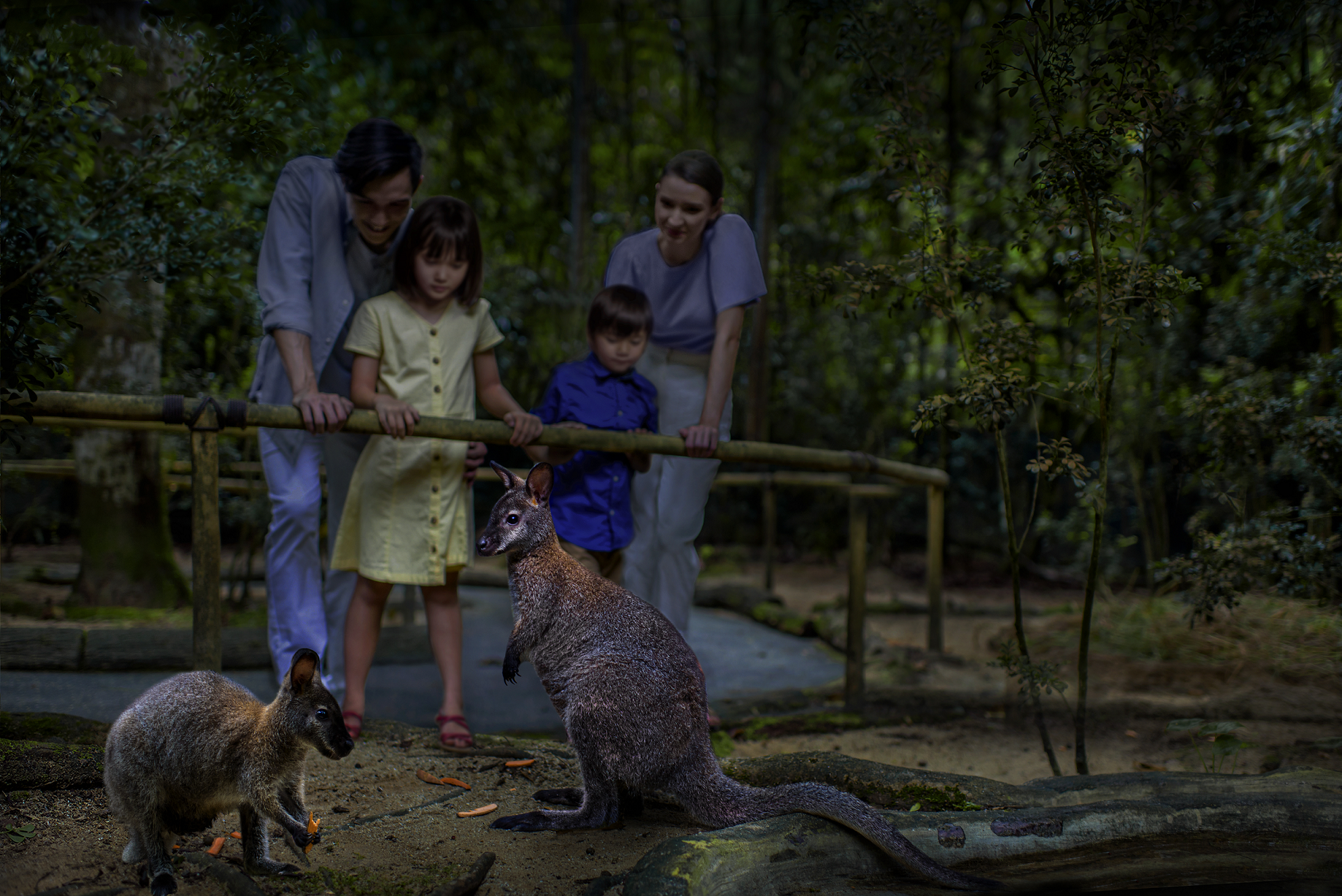 徒歩で動物を見て周るウォーキングトレイルや自由参加のアニマルショー(座席に限りあり)などもお楽しみ頂けます。